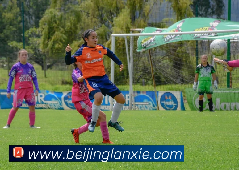 爱游戏官网app登录入口app品牌故事